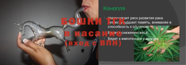 крисы Верхний Тагил