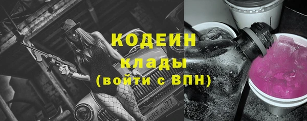 крисы Козловка
