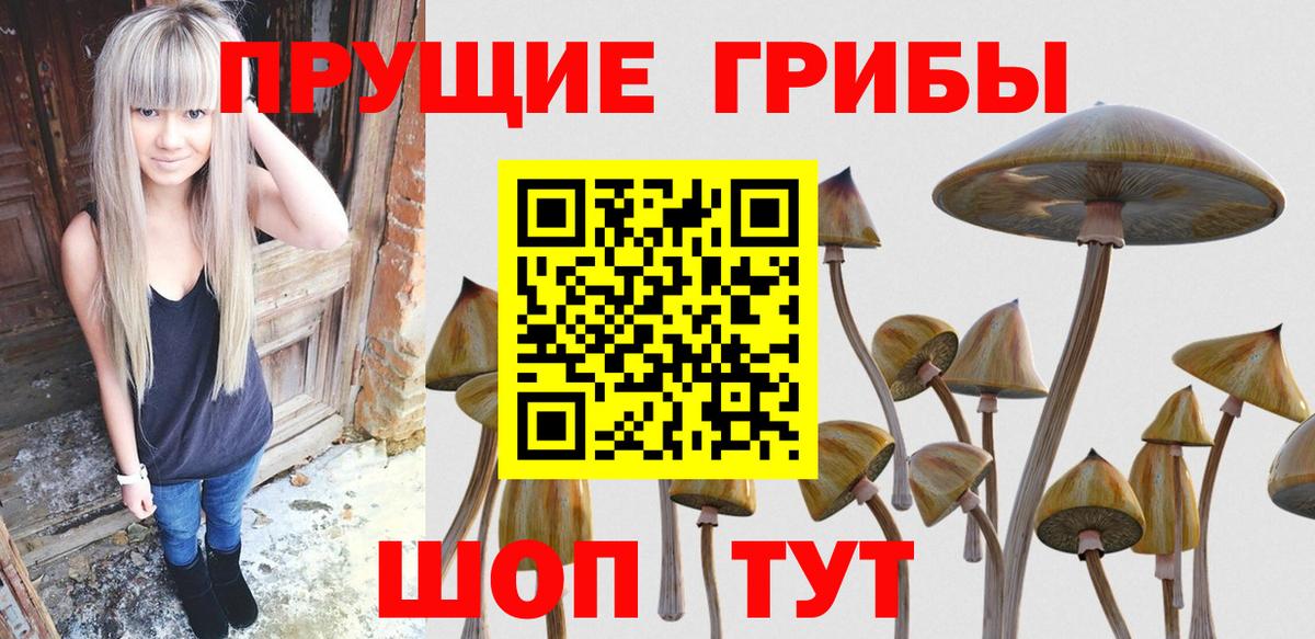 Альфа ПВП Майкоп