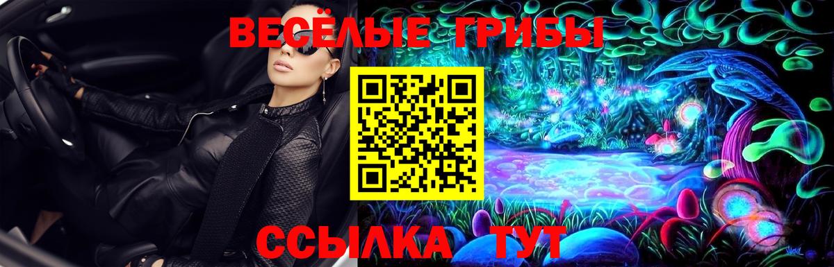 Галлюциногенные грибы Magic Shrooms Майкоп
