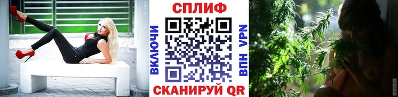 Каннабис OG Kush  как найти закладки  kraken сайт  Майкоп 