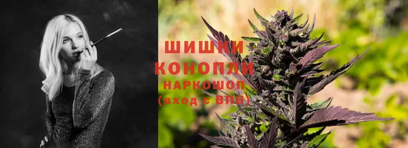 Марихуана OG Kush  где можно купить   Майкоп 